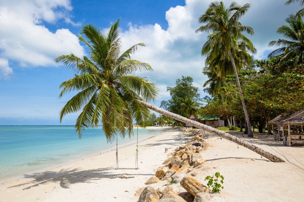 Jour 8