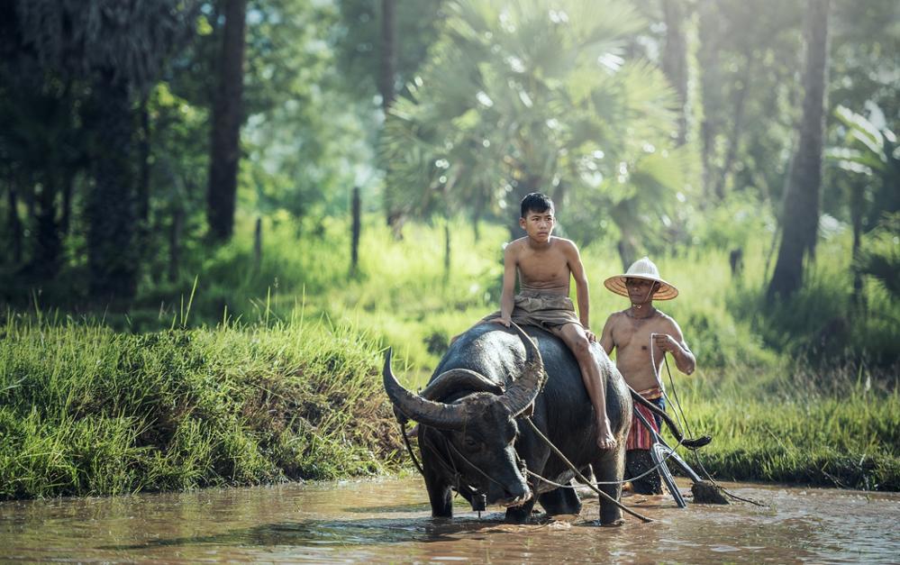 5 bonnes raisons de partir au Laos