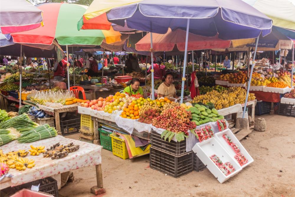 Que faire et que voir à Luang Namtha ?