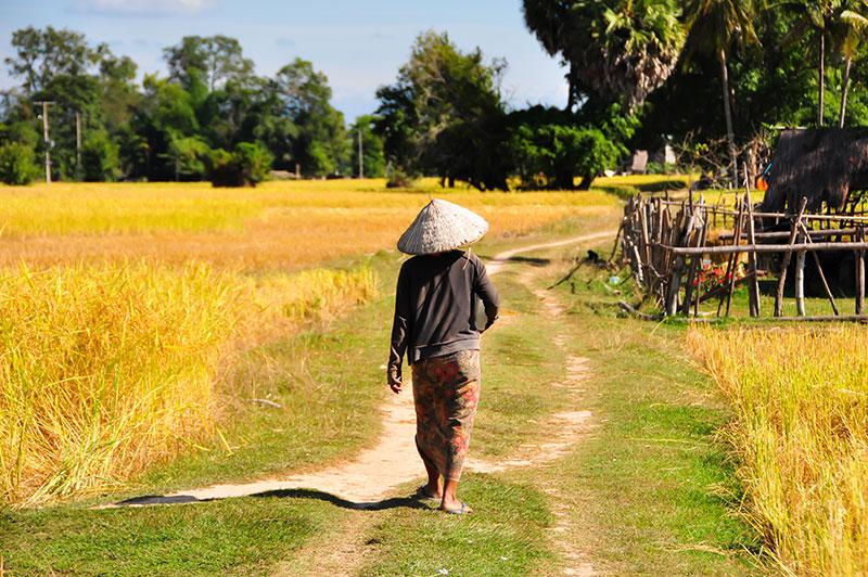 Les 4000 îles, le petit paradis du Laos